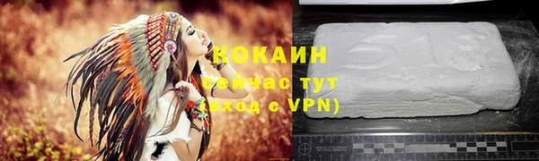 дурь Осташков