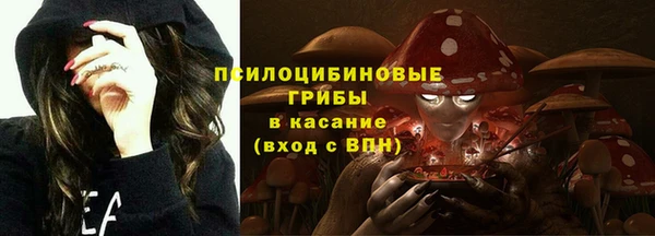 дурь Осташков