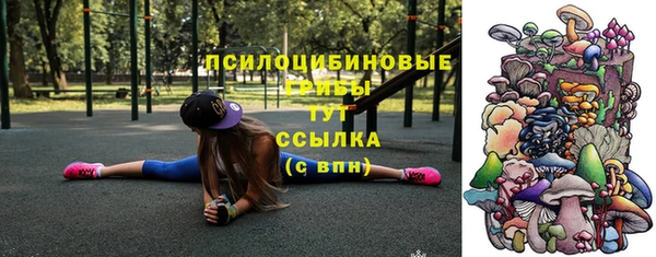 СК Осинники