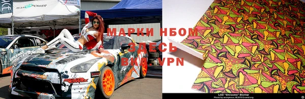 дурь Осташков