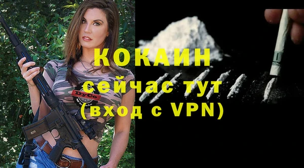 дурь Осташков